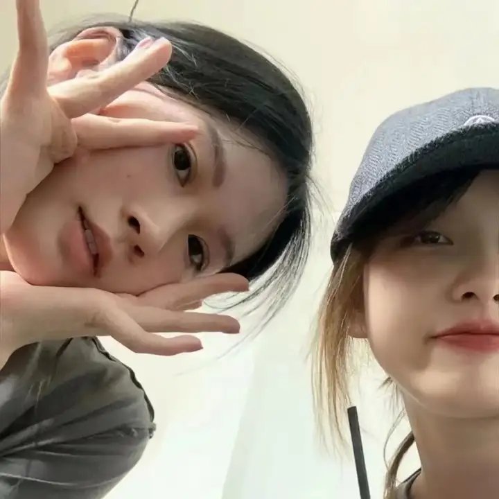 陛下，臣真是忠臣啊